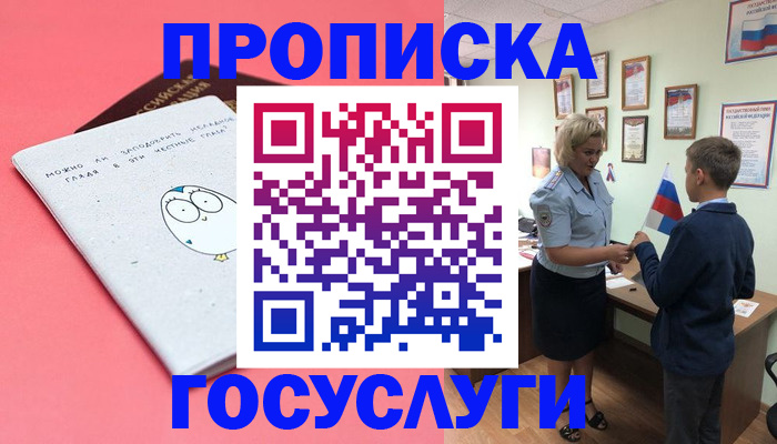 временная регистрация надежно в Новгородской области